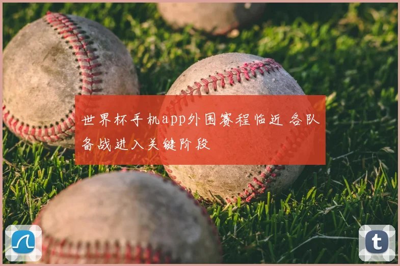 世界杯手机app外围赛程临近 各队备战进入关键阶段