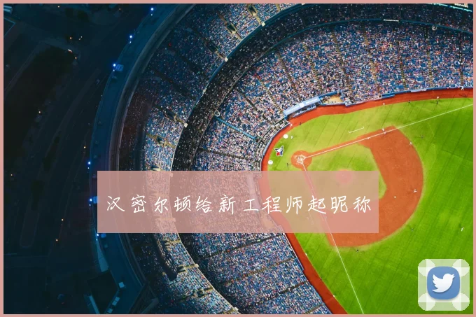 汉密尔顿给新工程师起昵称