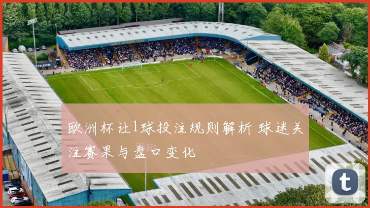 欧洲杯让1球投注规则解析 球迷关注赛果与盘口变化