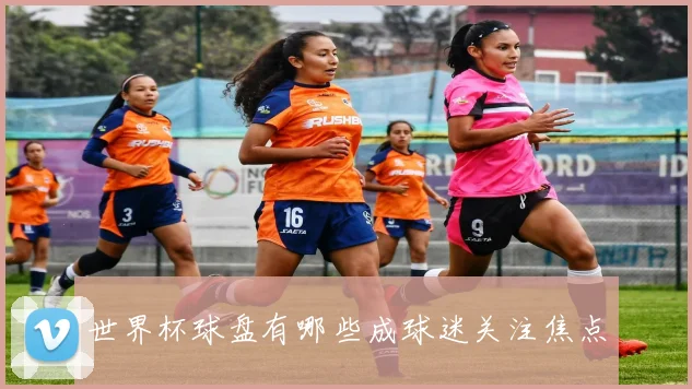 世界杯球盘有哪些成球迷关注焦点