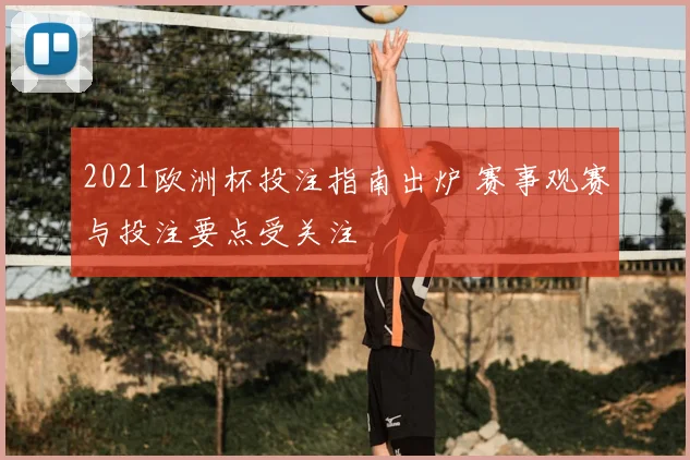 2021欧洲杯投注指南出炉 赛事观赛与投注要点受关注