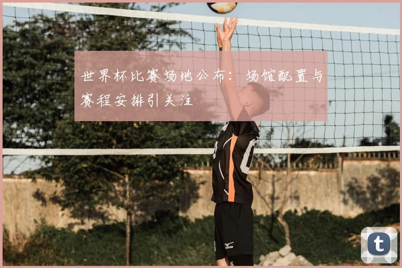 世界杯比赛场地公布:场馆配置与赛程安排引关注