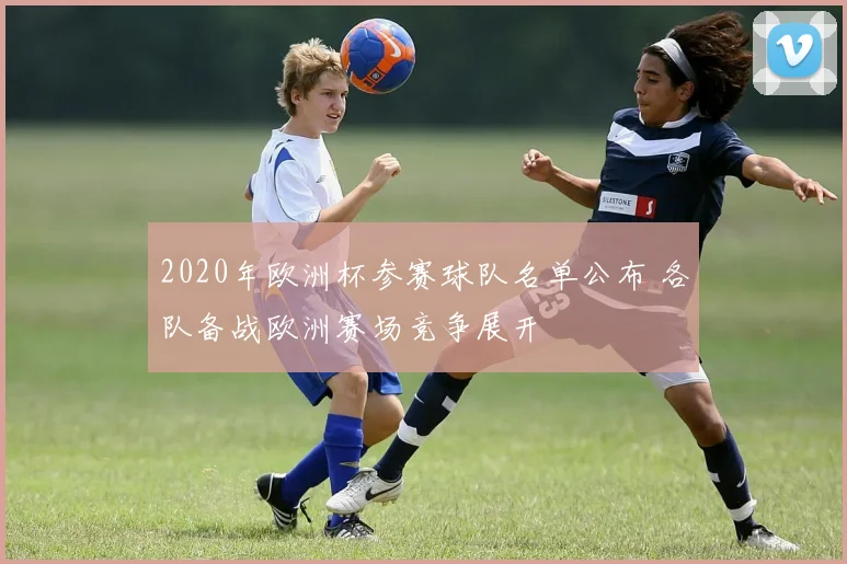 2020年欧洲杯参赛球队名单公布 各队备战欧洲赛场竞争展开